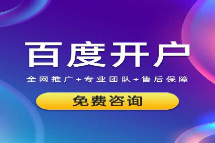 SEM推广策略：成功案例解析